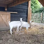 דירה Vakantieverblijf De Rozenhorst