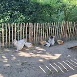 Vakantieverblijf De Rozenhorst