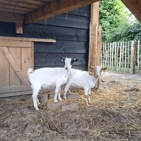 Apartamento Vakantieverblijf De Rozenhorst