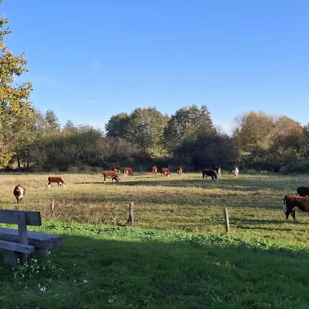 Vakantieverblijf De Rozenhorst Apartamento Lottum