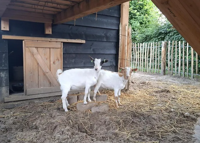 아파트 Vakantieverblijf De Rozenhorst