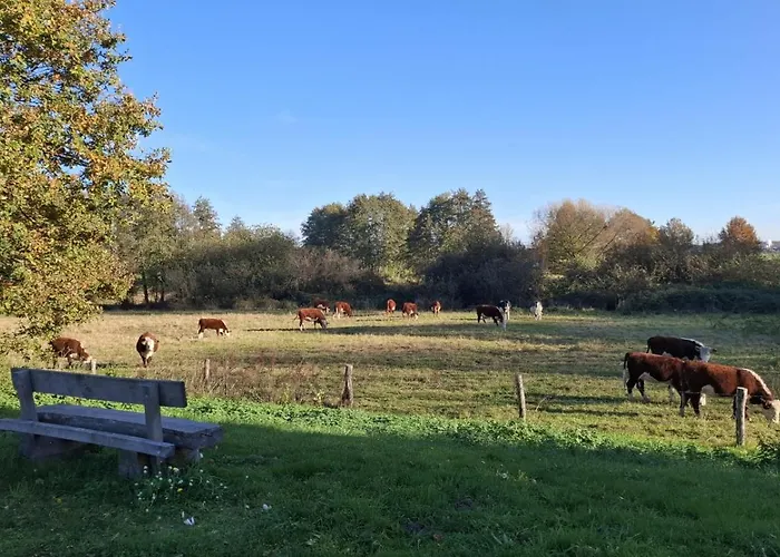 Vakantieverblijf De Rozenhorst Apartamento Lottum