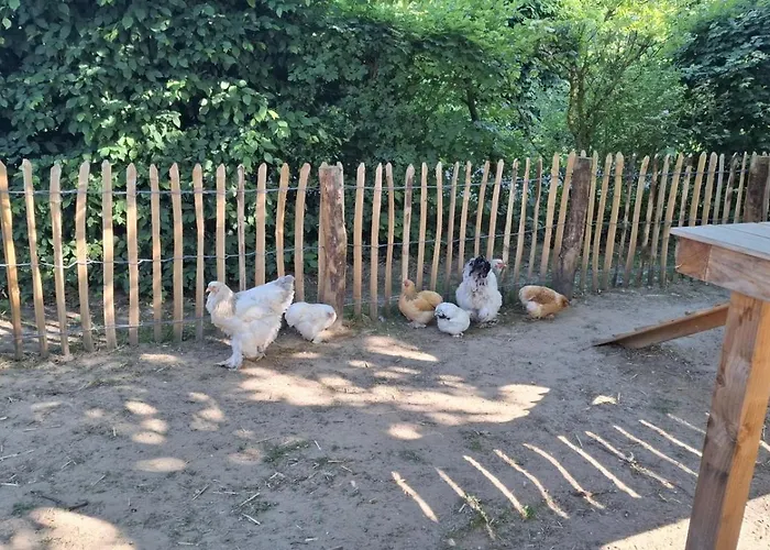 Vakantieverblijf De Rozenhorst